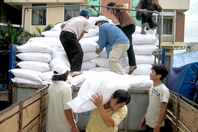 [Infographics] Xuất cấp 53.489 tấn gạo hỗ trợ người dân trong 5 tháng đầu năm 2021