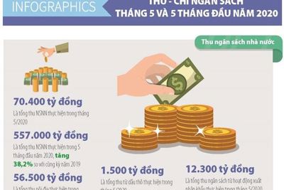 [Infographics] Số liệu tài chính ngân sách tháng 5 và 5 tháng đầu năm 2020