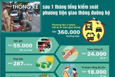 [Infographics] Thống kê sau 1 tháng tổng kiểm soát phương tiện giao thông đường bộ