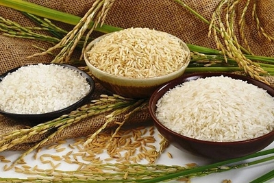 Ngày 17/6, giá gạo nguyên liệu tăng trở lại