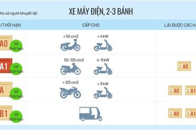 [Infographic] Các hạng bằng lái xe mới trong Dự thảo Luật Giao thông đường bộ
