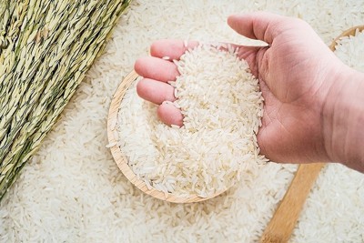 Giá lúa gạo ngày 27/6: Giá lúa gạo đi ngang