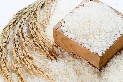 Ngày 28/6, giá gạo nguyên liệu xu hướng giảm nhẹ