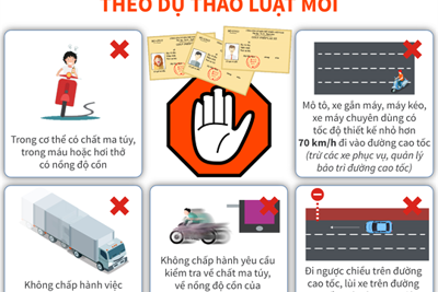 [Infographics] 11 vi phạm bị tước ngay bằng lái theo dự thảo luật mới
