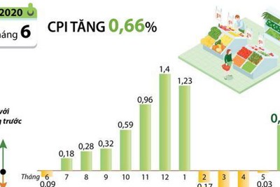 [Infographics] Chỉ số giá tiêu dùng tháng Sáu tăng 0,66%