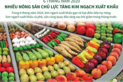 [Infographics] Nhiều nông sản chủ lực tăng kim ngạch xuất khẩu