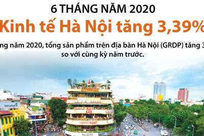 [Infographics] Sáu tháng đầu năm: Kinh tế Hà Nội tăng 3,39%