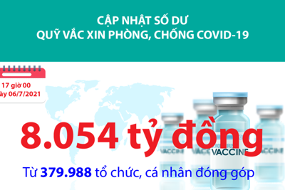 [Infographics] Quỹ Vắc xin phòng, chống Covid-19 đã tiếp nhận ủng hộ 8.054 tỷ đồng