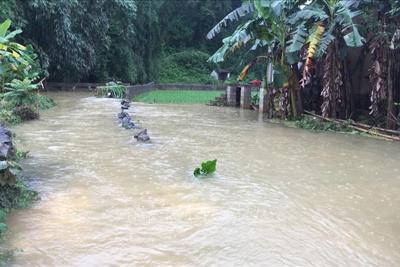 [Video] Mưa lớn gây ngập hơn 900 ngôi nhà tại Cao Bằng 