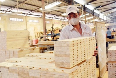  Bị áp thuế tới 200%, lo gỗ Trung Quốc “đội lốt” hàng Việt xuất sang Mỹ 
