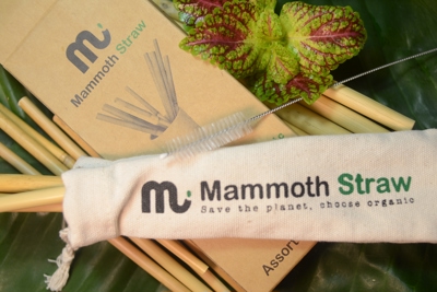 Bảo vệ môi trường với ống hút Mammoth Straw 100% hữu cơ