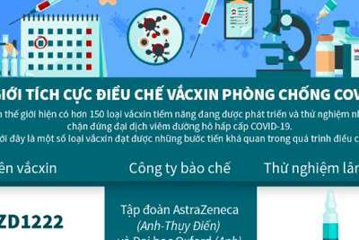 [Infographics] Thế giới tích cực điều chế vắcxin phòng chống Covid-19