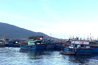  Dừng hoạt động cảng cá lớn nhất miền Trung 7 ngày để chống dịch