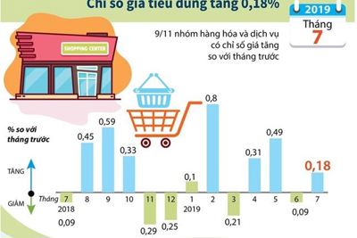 [Infographics] Chỉ số giá tiêu dùng tháng 7 của cả nước tăng 0,18%