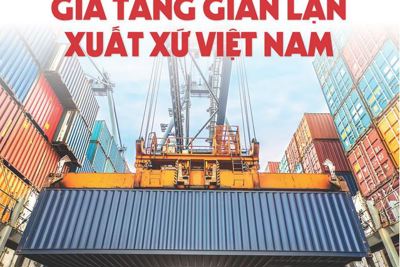 [Infographics] Gia tăng gian lận xuất xứ Việt Nam