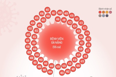 [Infographics] 79 ca Covid-19 Đà Nẵng chủ yếu liên quan bệnh viện