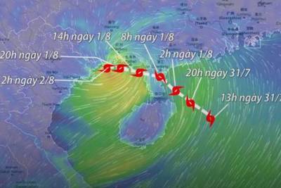 [Video] Ngày 2/8 bão Wipha đổ bộ Quảng Ninh, Hải Phòng gió giật cấp 11