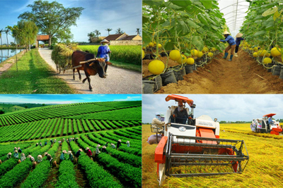 Phát triển kinh tế nông thôn ở các nước và thực tiễn tại Việt Nam