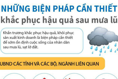 [Infographics] Những biện pháp cần thiết khắc phục hậu quả sau mưa lũ