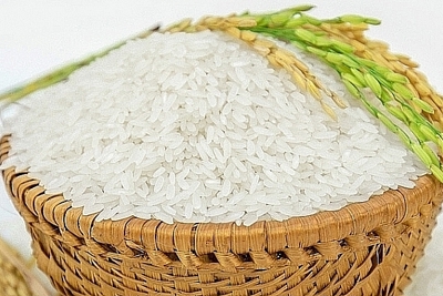 Giá lúa gạo hôm nay 5/8: Giá lúa giảm nhẹ