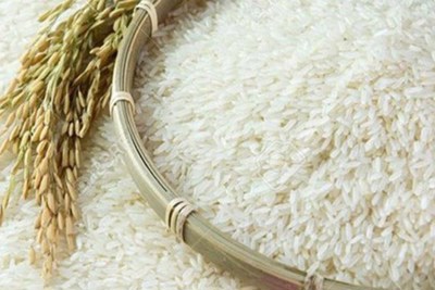Giá lúa gạo hôm nay 11/8: Giá gạo tăng mạnh trở lại