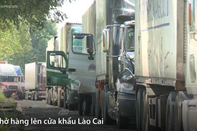 [Video] Container thanh long xếp hàng dài vì Trung Quốc thay đổi kiểm soát hàng