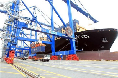 [Infographics] Khối lượng hàng hóa thông cảng ước đạt 57,3 triệu TEU