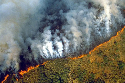 [Video] Rừng Amazon tan tác trong cơn hỏa hoạn tồi tệ nhất lịch sử