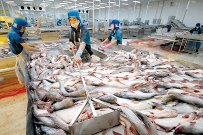 Hoàn thiện chuỗi giá trị hoạt động xuất khẩu thủy sản của doanh nghiệp Việt Nam