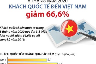 [Infographics] Trong 8 tháng năm 2020, khách quốc tế đến Việt Nam giảm 66,6% 