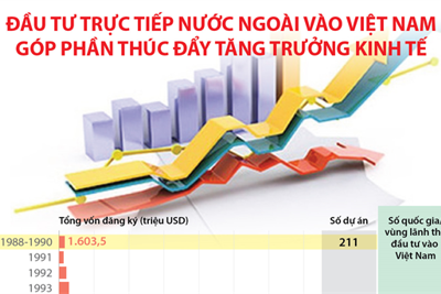 [Infographics] Đầu tư trực tiếp nước ngoài vào Việt Nam góp phần thúc đẩy tăng trưởng kinh tế
