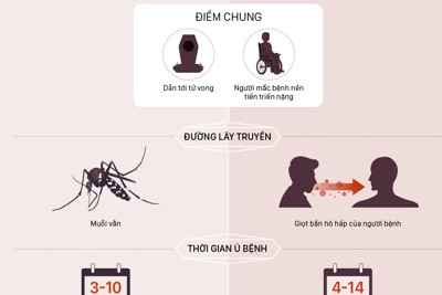 [Infographics] Phân biệt triệu chứng Covid-19 và sốt xuất huyết
