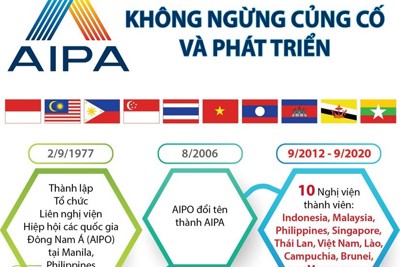 [Infographics] AIPA không ngừng củng cố và phát triển