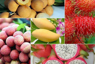[Infographics] Hành trình xuất ngoại của trái cây đặc sản Việt Nam