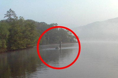[Video] Sự thật gây bất ngờ về quái vật hồ Loch Ness