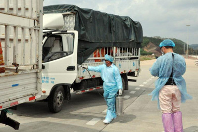  Trung Quốc tạm dừng nhập khẩu thanh long tại Quảng Ninh