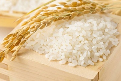 Đầu tuần giá lúa gạo đi ngang