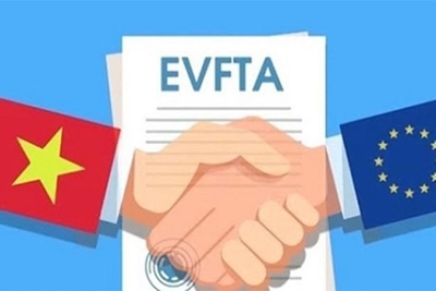 Biểu thuế xuất nhập khẩu ưu đãi của Việt Nam để thực hiện EVFTA 