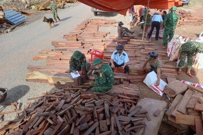 Cục Hải quan Quảng Trị phối hợp bắt giữ vụ buôn lậu gỗ và đá quý, trị giá khoảng 15 tỷ đồng