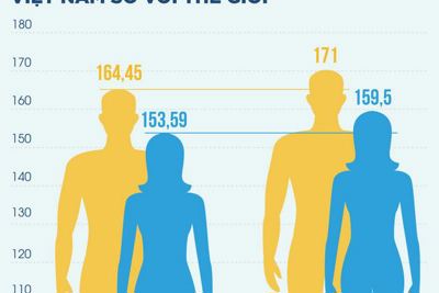 [Infographics] Người Việt Nam lùn thứ tư thế giới, 35 năm chỉ cao thêm 4 cm