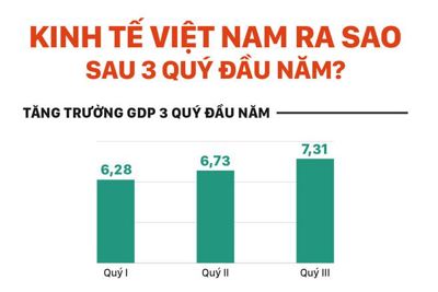 [Infographics] GDP Việt Nam tăng trưởng hơn 7% trong quý III, cao nhất 9 năm