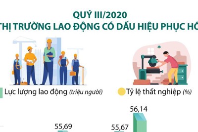 [Infographics] Quý III/2020: Thị trường lao động có dấu hiệu phục hồi