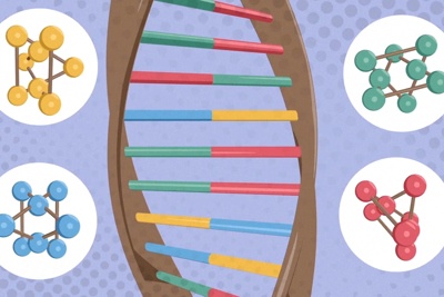 [Video] Mô phỏng cấu trúc của ADN