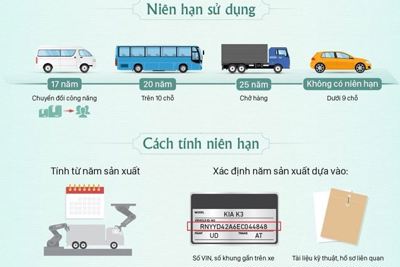  [Infographics] Ôtô ở Việt Nam được phép sử dụng trong bao lâu 