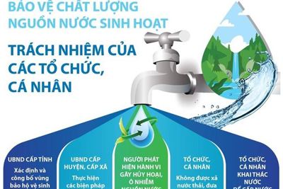 [Infographics] Bảo vệ nguồn nước sinh hoạt: Trách nhiệm của các tổ chức, cá nhân