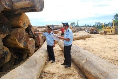 Có được hoàn thuế GTGT mặt hàng gỗ xuất khẩu sang nước thứ ba? 