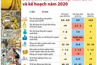 [Infographics] Bức tranh kinh tế-xã hội năm 2019 và kế hoạch năm 2020