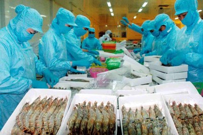 Nhận dạng chi phí môi trường trong các doanh nghiệp thủy sản Việt Nam