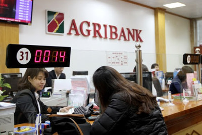 Các nhân tố tác động đến môi trường kiểm soát của Agribank 