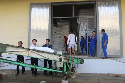 Cục Dự trữ Nhà nước khu vực Nghệ Tĩnh kịp thời xuất cấp hỗ trợ nhân dân bị thiên tai
